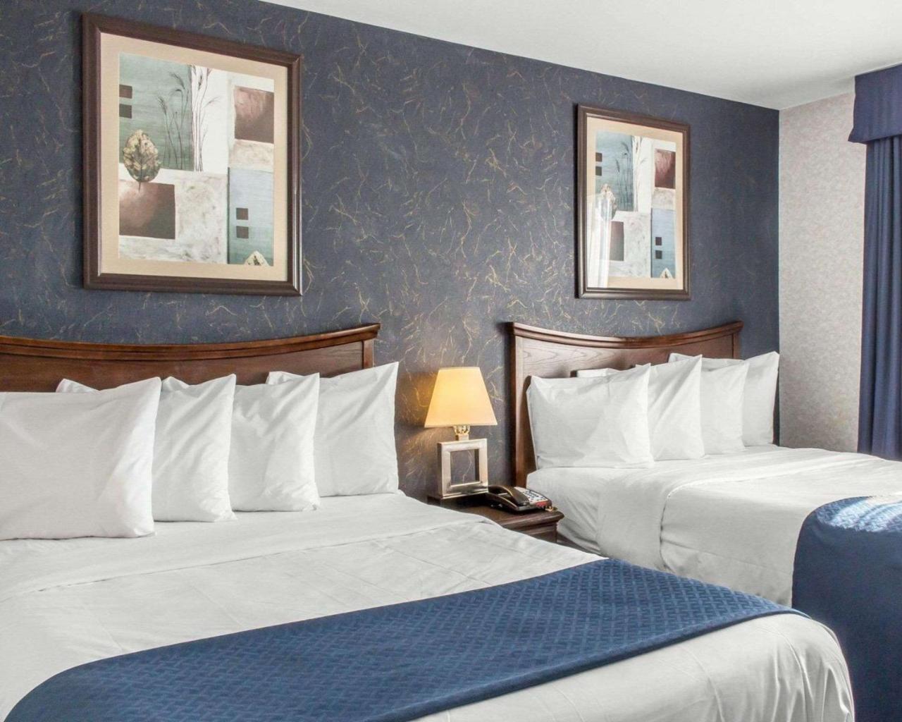 Paramount Inn Floral Park Buitenkant foto